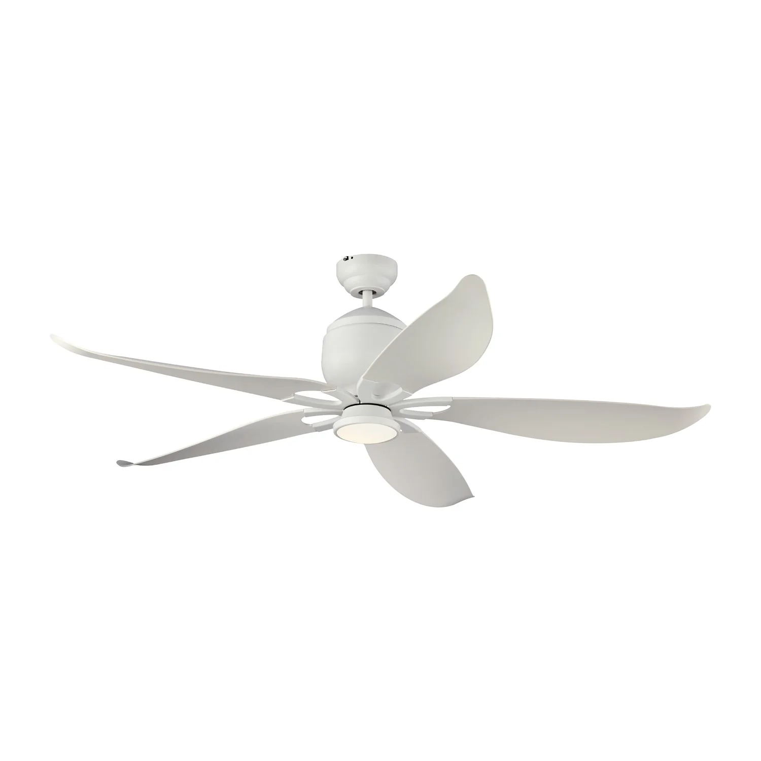 Lily 56 LED Ceiling Fan